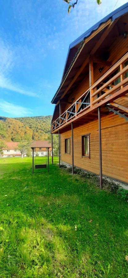 Appartement Rosinka à Yaremtche Extérieur photo