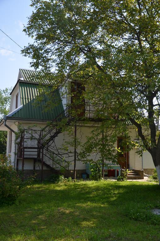Appartement Rosinka à Yaremtche Extérieur photo