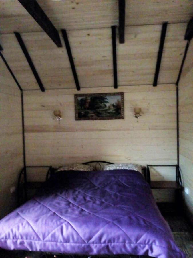 Appartement Rosinka à Yaremtche Extérieur photo